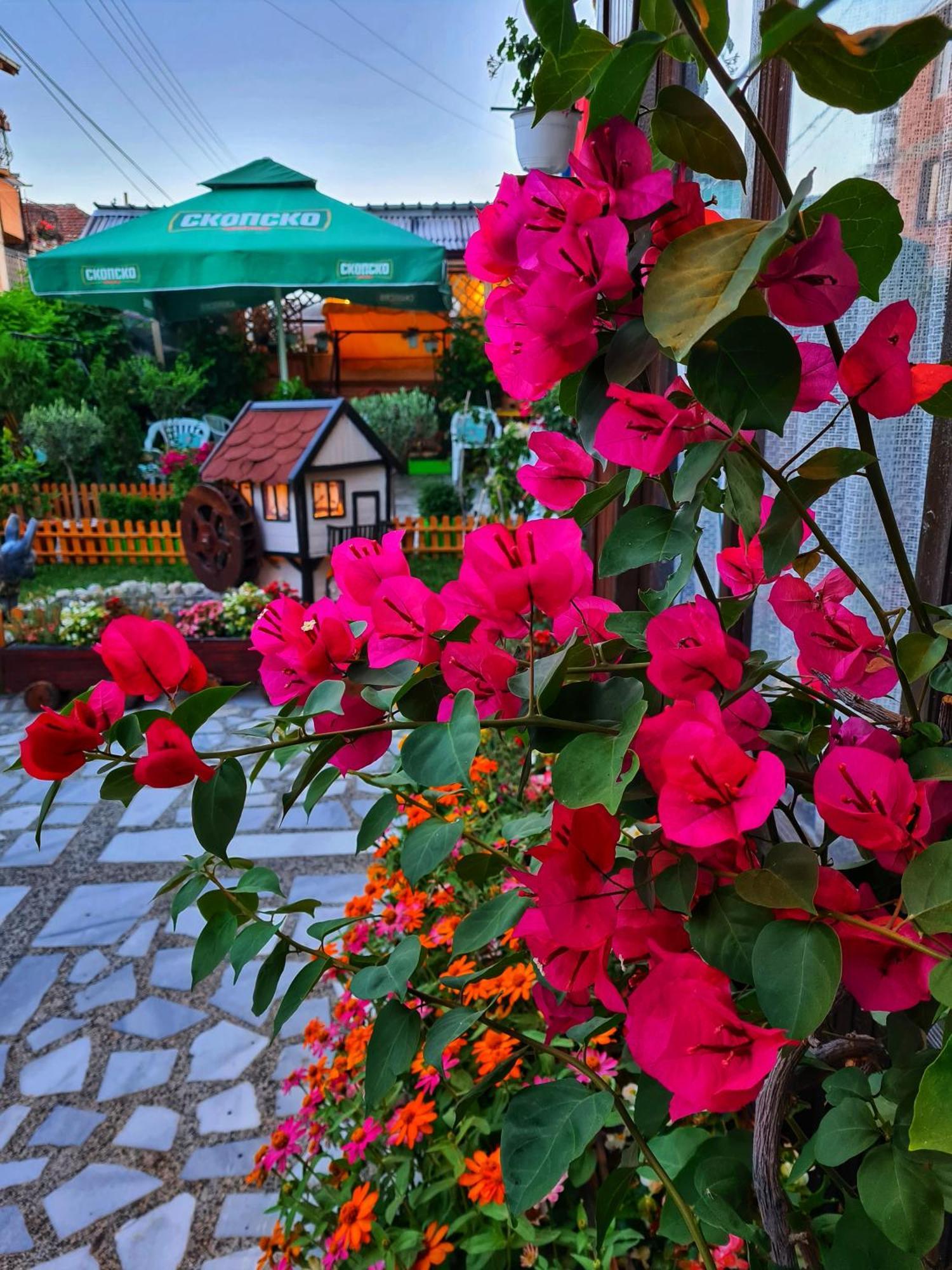 Villa Flora Ohrid Exterior foto